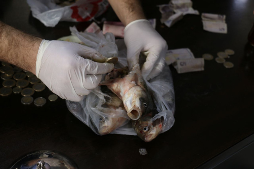 Batman'da dilendikleri paraları balık ve ekmek içine gizlediler - Resim: 1