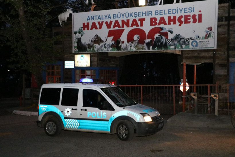 Antalya’da hayvanat bahçesinden kurt kaçtı! - Resim: 4