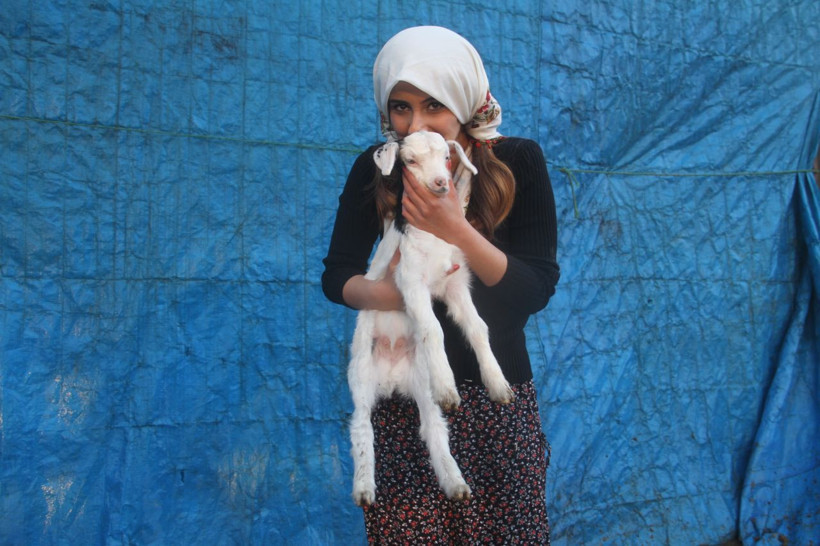 En farklı mahalle muhtarı! İnek sağıyor traktör sürüyor çiftçilik yapıyor - Resim: 1