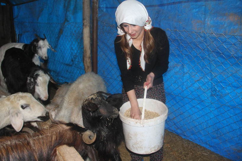 En farklı mahalle muhtarı! İnek sağıyor traktör sürüyor çiftçilik yapıyor - Resim: 4