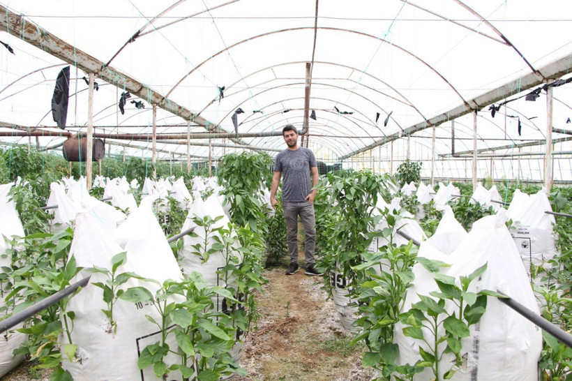Elektronik mühendisi araştırdı buldu serasında ’Çuval’la para kazanıyor - Resim: 2