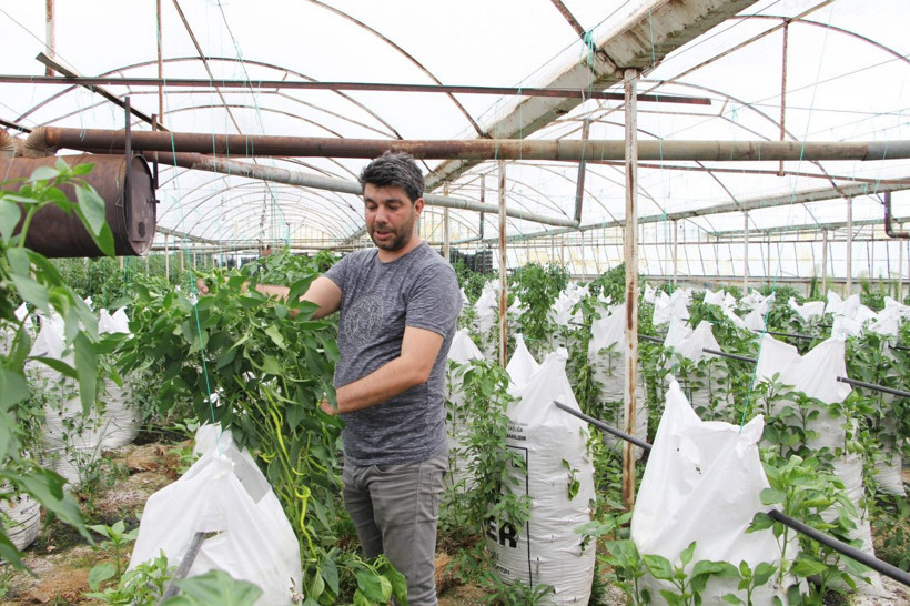 Elektronik mühendisi araştırdı buldu serasında ’Çuval’la para kazanıyor - Resim: 4