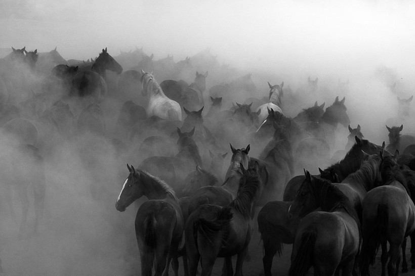 Reklam filmlerinin yeni mekanı Hürmetçi Sazlığı - Resim: 3