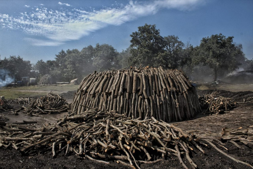 Ateş kül ve duman içinde yaşayan Torlakçılar - Resim: 3