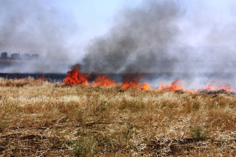 Diyarbakır'da bin dönümlük ekili alan kül oldu - Resim: 3