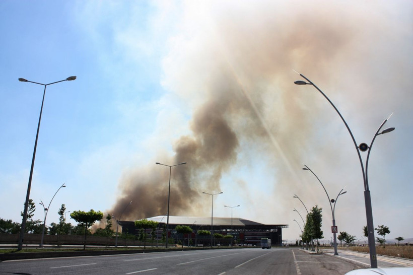 Diyarbakır'da bin dönümlük ekili alan kül oldu - Resim: 4