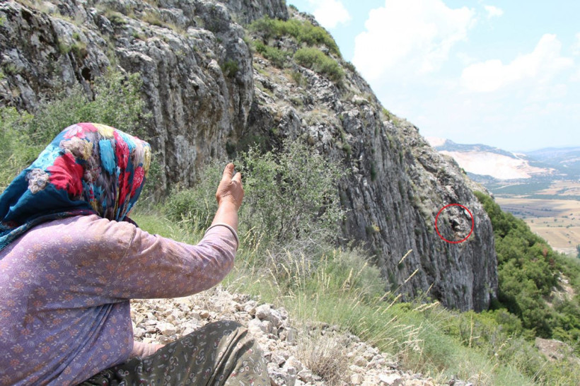 Uçurumda mahsur kalan 2 keçi 5 gündür kurtarılmayı bekliyor - Resim: 4