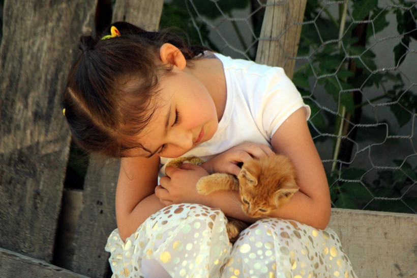 Minik Azra selde kurtardığı yavru kediyi sahiplendi - Resim: 1