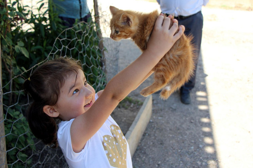 Minik Azra selde kurtardığı yavru kediyi sahiplendi - Resim: 4