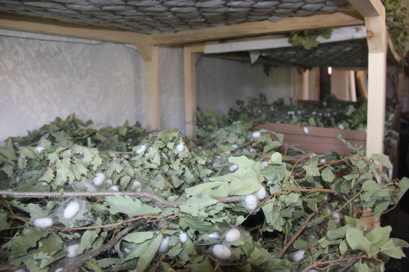 Hobi olarak başladı evinin boş odası 42 günde 3,500 TL kazandırdı - Resim: 1