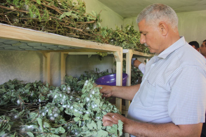 Hobi olarak başladı evinin boş odası 42 günde 3,500 TL kazandırdı - Resim: 2