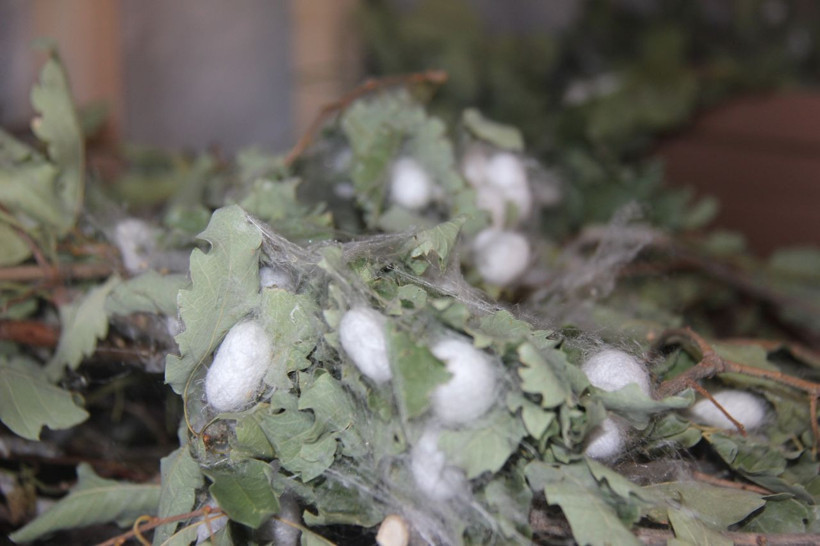 Hobi olarak başladı evinin boş odası 42 günde 3,500 TL kazandırdı - Resim: 3