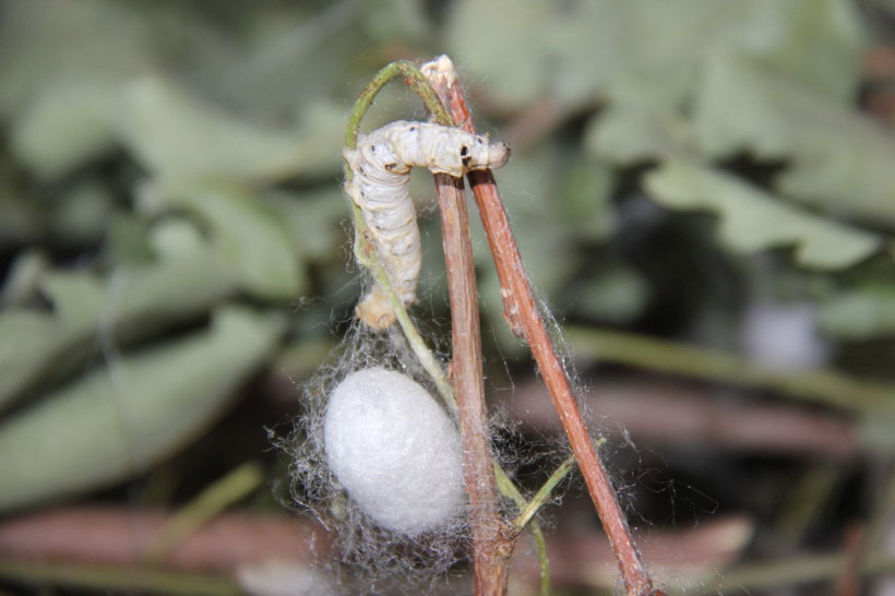 Hobi olarak başladı evinin boş odası 42 günde 3,500 TL kazandırdı - Resim: 4