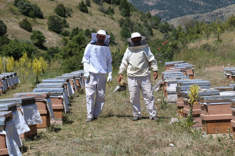 Kilosu 8 bin lira! Arı sütünde taleplere yetişemiyorlar - Resim: 2