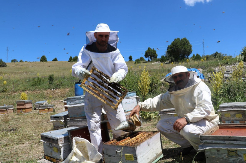 Kilosu 8 bin lira! Arı sütünde taleplere yetişemiyorlar - Resim: 3