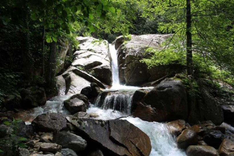 Hikayesi üzüyor... Rize'de keşfedilememiş bir cennet - Resim: 2