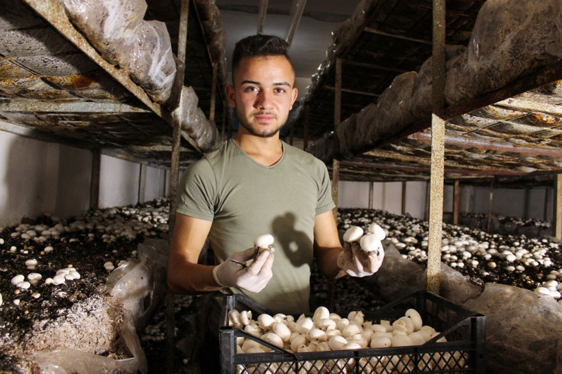 Aksaray'da 3 kişinin çalıştığı tesisi devraldı! Şimdi ise ayda 25 ton mantar üretimi yapıyor - Resim: 3