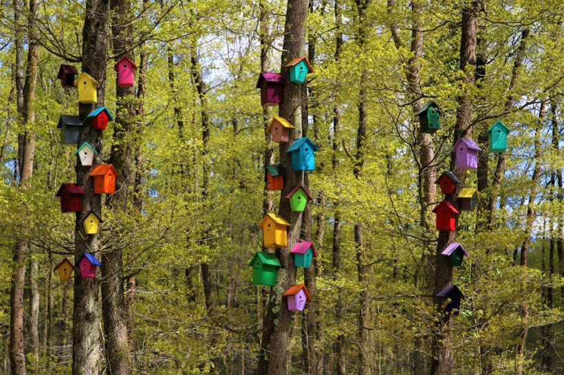 Kocaeli'de bulunan Avrupa'nın en büyük doğal yaşam parkı Ormanya film seti oluyor - Resim: 2