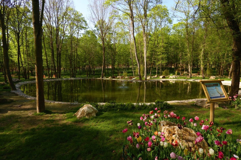 Kocaeli'de bulunan Avrupa'nın en büyük doğal yaşam parkı Ormanya film seti oluyor - Resim: 3