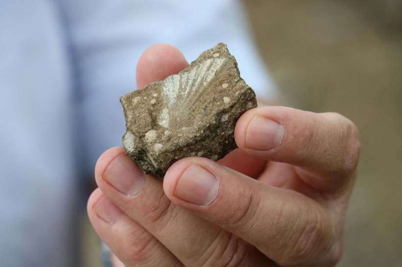 Sivas'ta deniz olduğu ortaya çıktı! İşte 15 milyonluk kanıt - Resim: 3