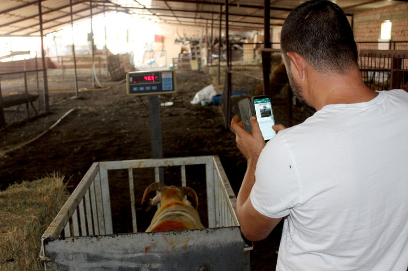 Cep telefonuyla mobil kurbanlık satıyor! Vekaleti dahi mobil alıyor - Resim: 2