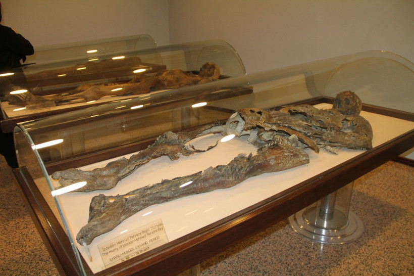 800 yıllık müslüman mumyalar Amasya'da! Dünyada eşi benzeri yok - Resim: 4