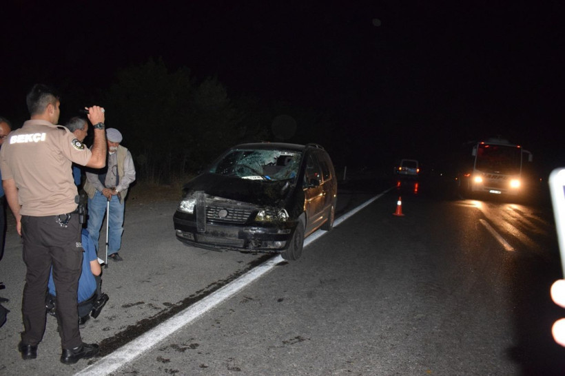 Malatya'da çiftlikten kaçan onlarca yarış atı otoyolu birbirine kattı - Resim: 4