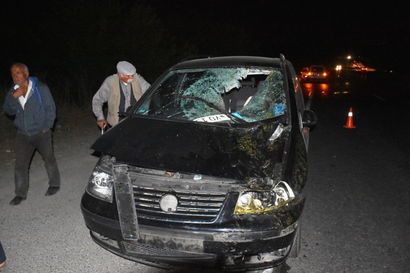 Malatya'da çiftlikten kaçan onlarca yarış atı otoyolu birbirine kattı - Resim: 3