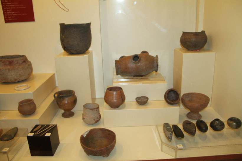 Yoğurdun tarihi sandığımızdan daha eskiymiş! 5 bin yıllık yayık tarihi nasıl değiştirdi - Resim: 3