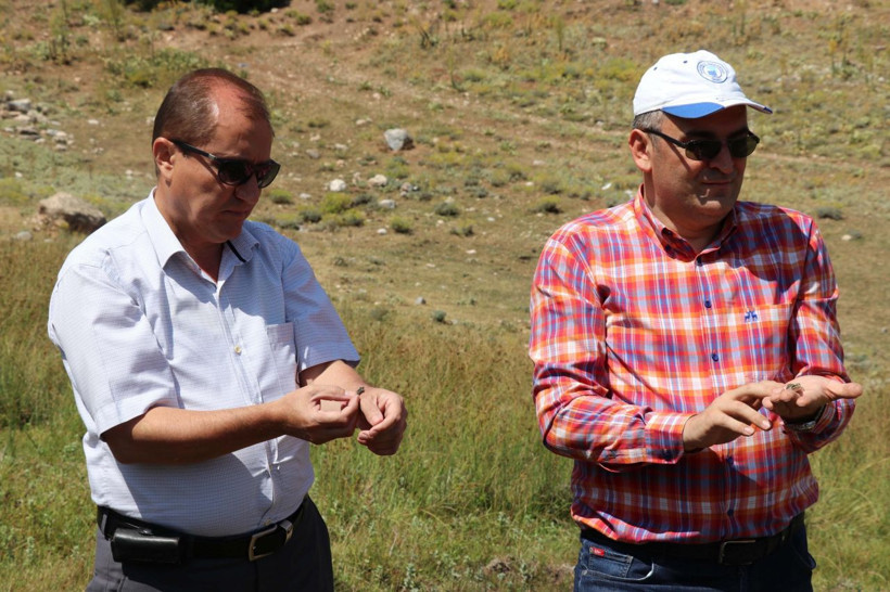 Dünyada sadece Tavas ilçesinde görülüyor Denizli'de seferberlik ilan edildi - Resim: 4