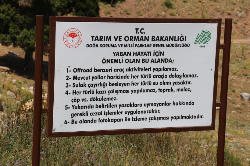 Dünyada sadece Tavas ilçesinde görülüyor Denizli'de seferberlik ilan edildi - Resim: 3