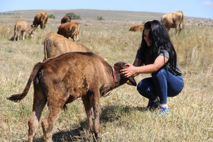 İstanbul'da hentbol oynayan iki kardeş Ardahan'da çobanlık yapıyor - Resim: 1