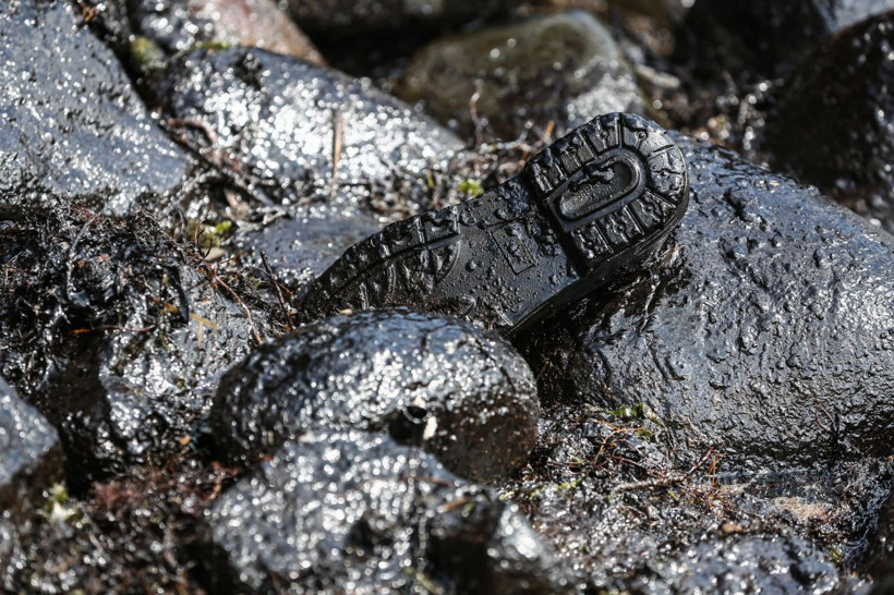 Şile'deki çevre felaketinin sırları gün yüzüne çıkıyor! - Resim: 4
