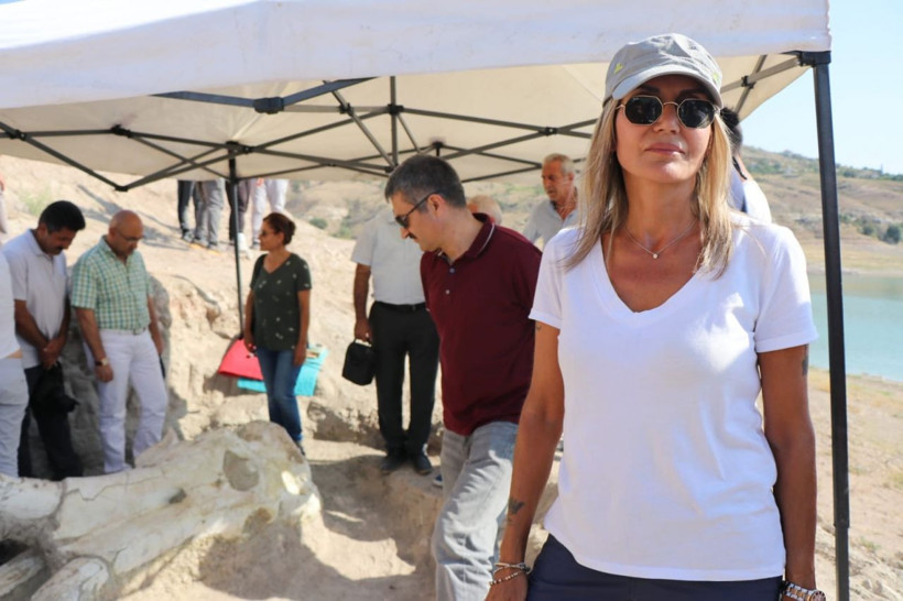 Kayseri'de 7,5 milyon yıllık dev fosil bulundu - Resim: 3