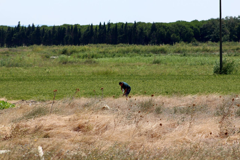 Çanakkale Savaşları'ndan kalma şehitlik 104 yıl sonra bulundu - Resim: 3