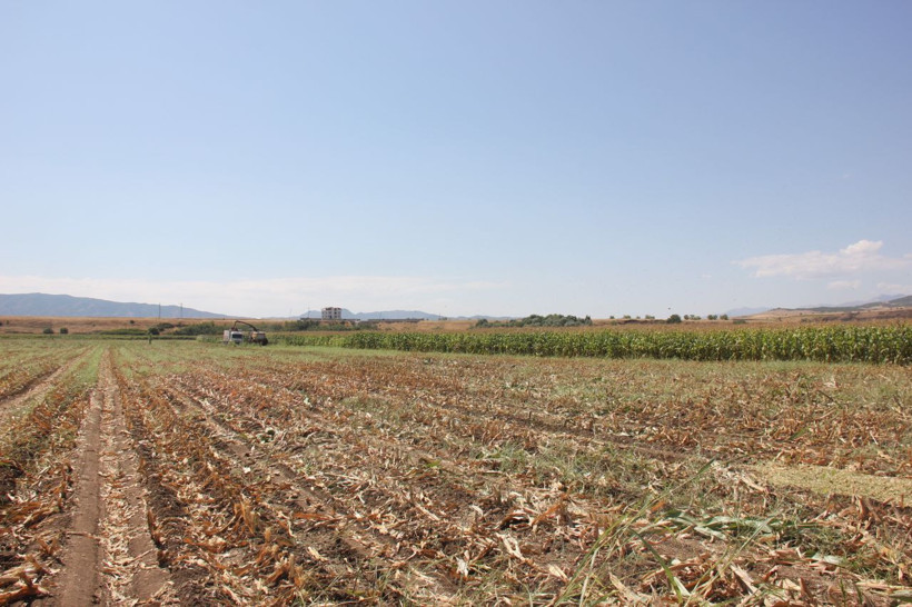 Erdoğan talimat vermişti! 733 milyonluk yatırım bitmeden çiftçiye katkı sağlamaya başladı - Resim: 2