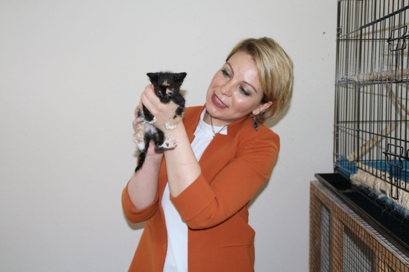 Makam odasında yaralı hayvanlara bakan müdür yardımcısına ceza verdiler - Resim: 4