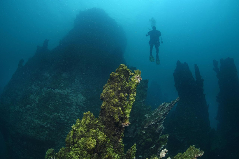 70 bin yaşında Van Gölü'nde dalgıçlar keşfetti dünyanın en büyüğü - Resim: 1