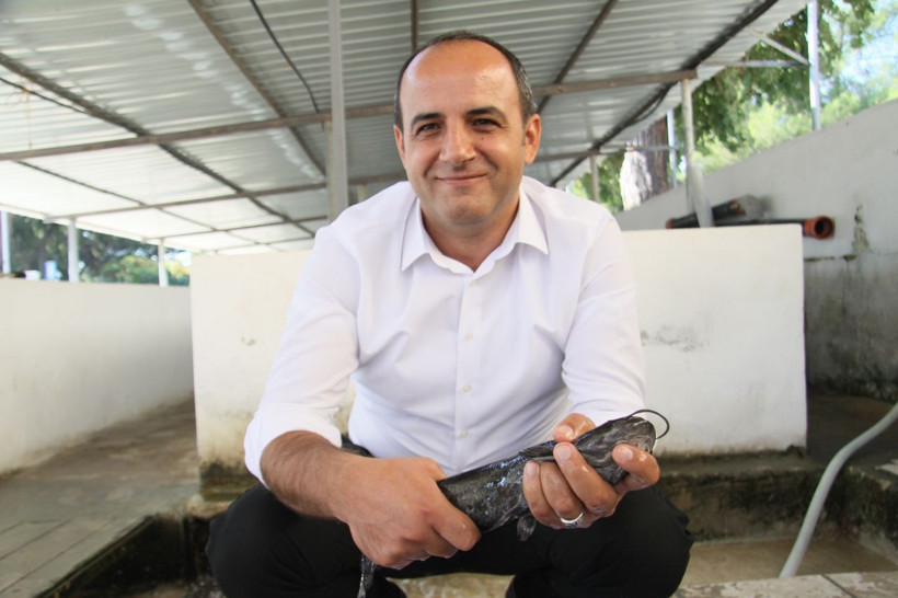 Türkiye’de ilk kez üretildi! Silurus glanis 10 milyonluk gelir getirecek - Resim: 3