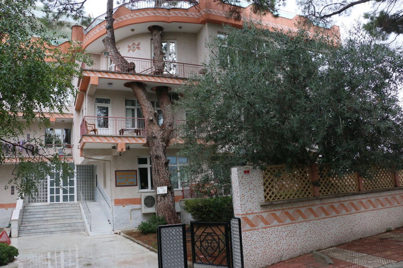 340 yıllık ağaç zarar görmesin diye yapılan binayı görenler şaşkına dönüyor - Resim: 4