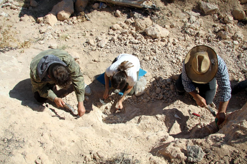 Kayseri'de bulunanlar 8 milyon yıllık çıktı diş ve çene kalıntılarına ulaşıldı - Resim: 3