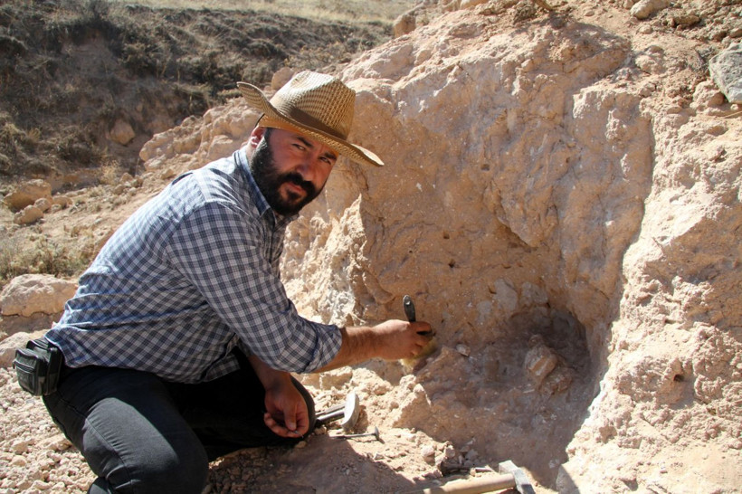 Kayseri'de bulunanlar 8 milyon yıllık çıktı diş ve çene kalıntılarına ulaşıldı - Resim: 1