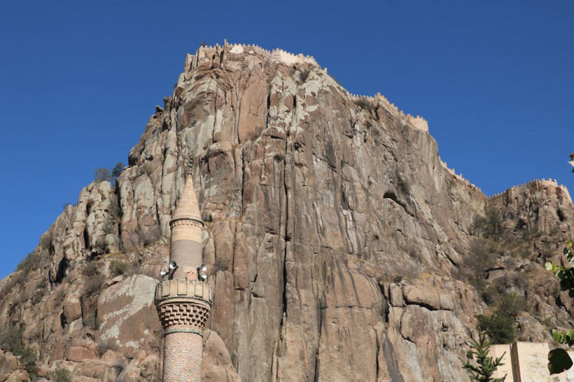 Anadolu'da 5 tane var 742 yaşında görenleri hayran bırakıyor - Resim: 1