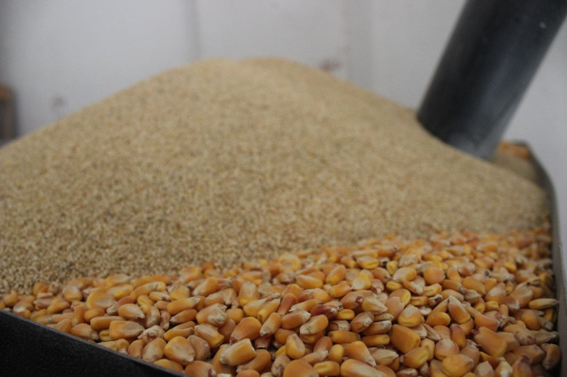 Bursa'nın 70 yıllık firması meyvelisini üretti! Amerika'ya ihraç ediyor - Resim: 2