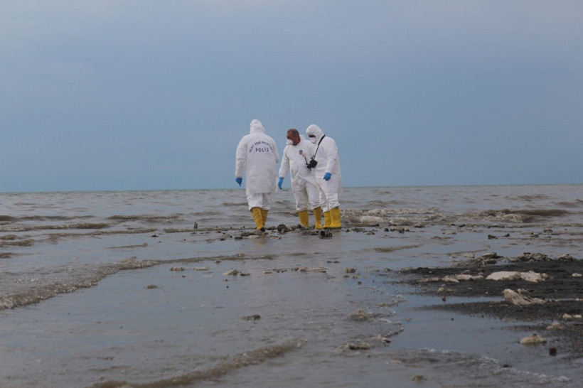 Van Gölü'nde sular çekildi korkunç manzara ortaya çıktı - Resim: 2