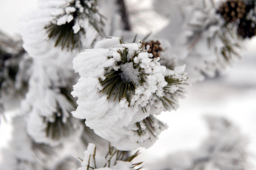 İstanbul'a kar geliyor! Hava sıcaklıkları 12 derece birden düşüyor - Resim: 4