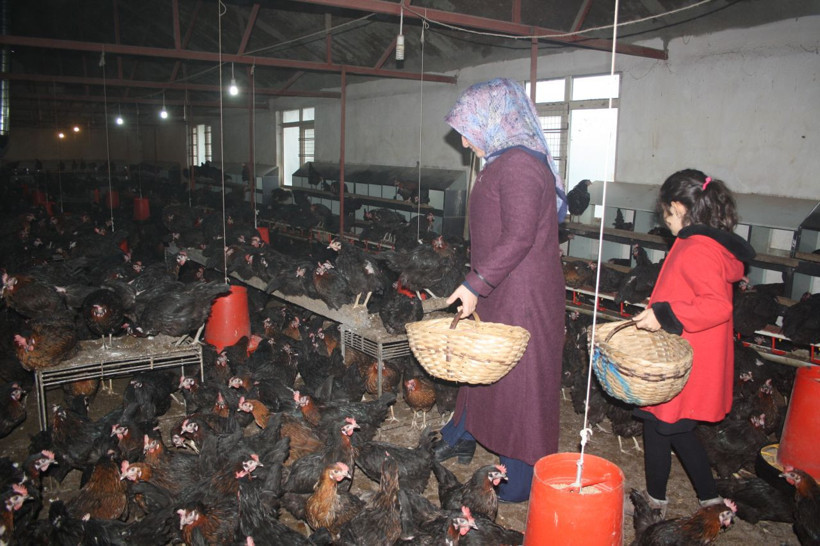 Kızını beslemek için başladı şimdi hedefi Tüm Türkiye'ye satmak - Resim: 1