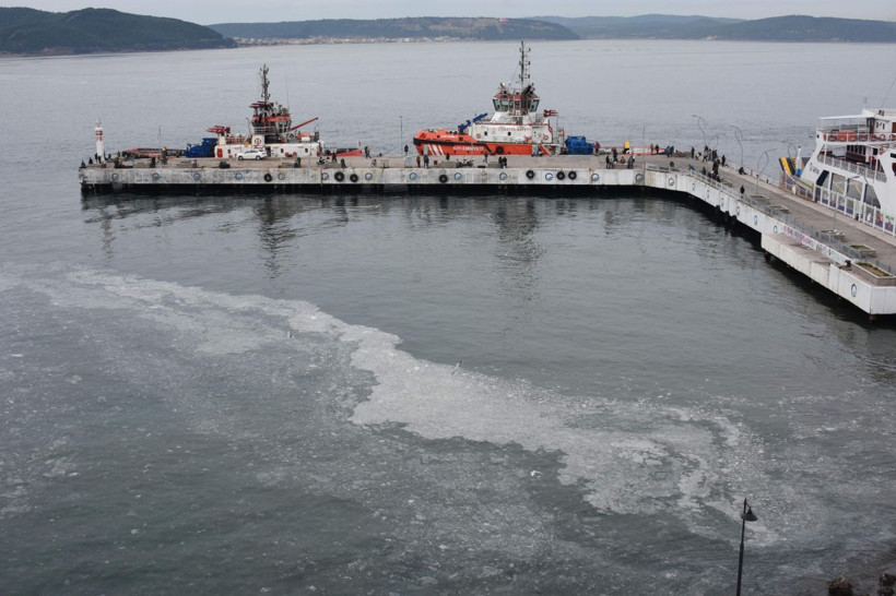 Çanakkale Boğazı'ndaki jelimsi tabakaya inceleme - Resim: 3
