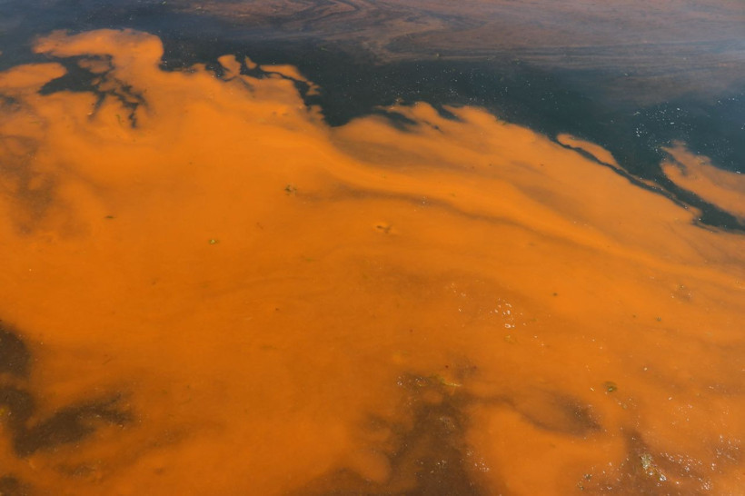 Deniz turuncu renge döndü! Tekirdağ'da Marmara'ya bakanlar şaşırdı - Resim: 3