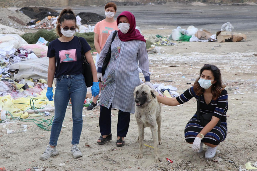Denizli'de hayvanseverler ayağa kalktı! O görüntülere sert çıktılar! - Resim: 4